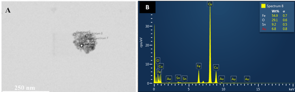 Viendo más allá. Diluciones en&nbsp;homeopatía
