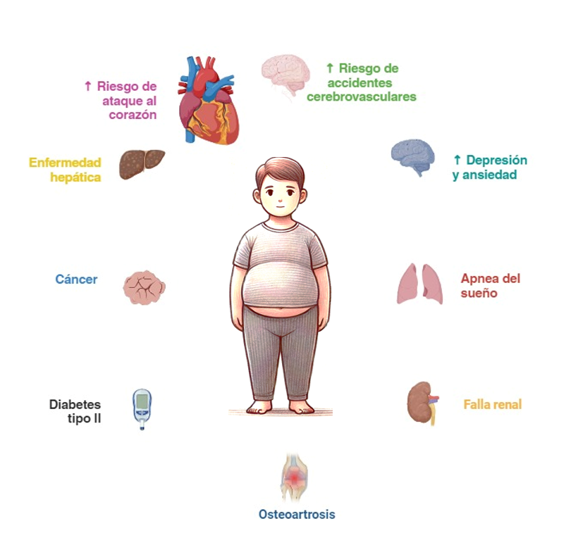 Una epidemia silenciosa llamada obesidad