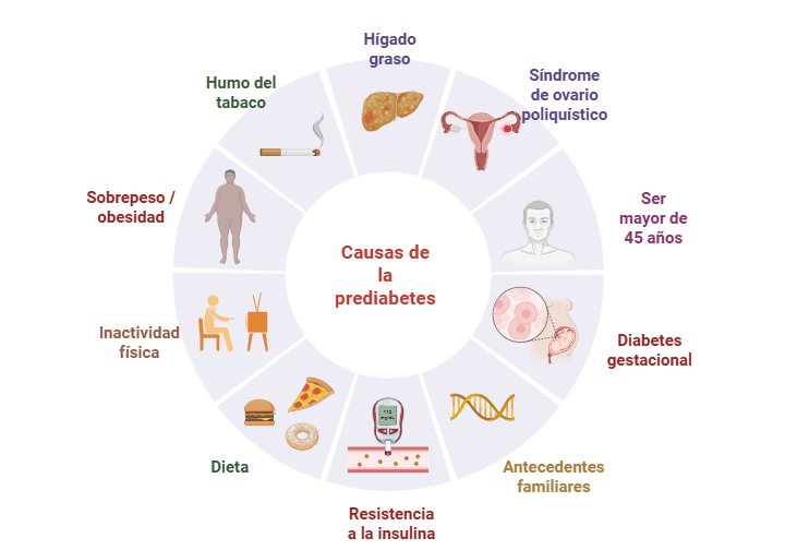 Prediabetes y homeopatía: una relación&nbsp;ganadora