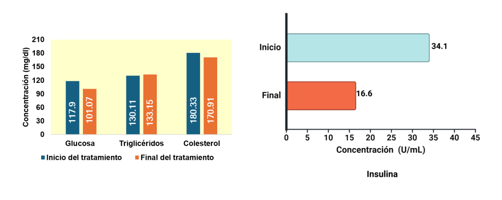Efecto del tratamiento homeopático con Lycopodium clavatum en una paciente con obesidad grado III: un estudio de&nbsp;caso