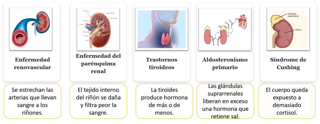 Cuando las arterias envejecen, la presión ya no cuenta la misma&nbsp;historia